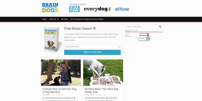 Brain Training For Dogs front page