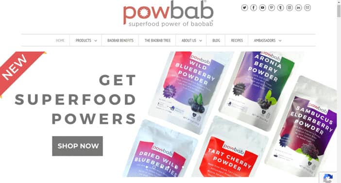powbab superfood power of baobab